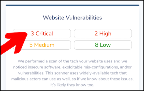 Lightweight Web Vulnerability Scan