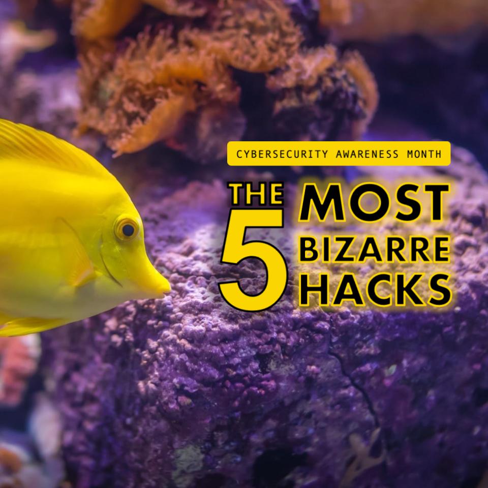 Cybersecurity Awareness Month: The 5 Most Bizarre Hacks