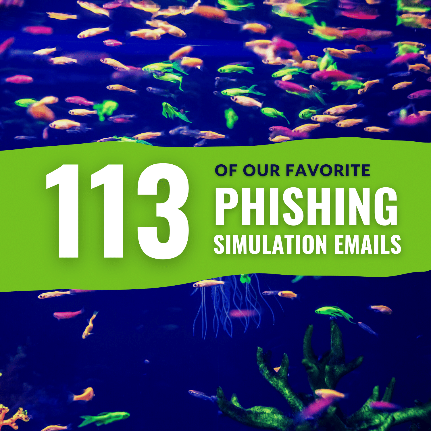 Phishing Simulation 113 Email Examples To Identify Phishing Attacks Phishing Simulation 113 Email Examples To Identify Phishing Attacks